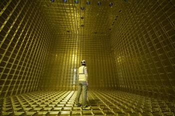 BANU Joins the DUNE Neutrino Experiment